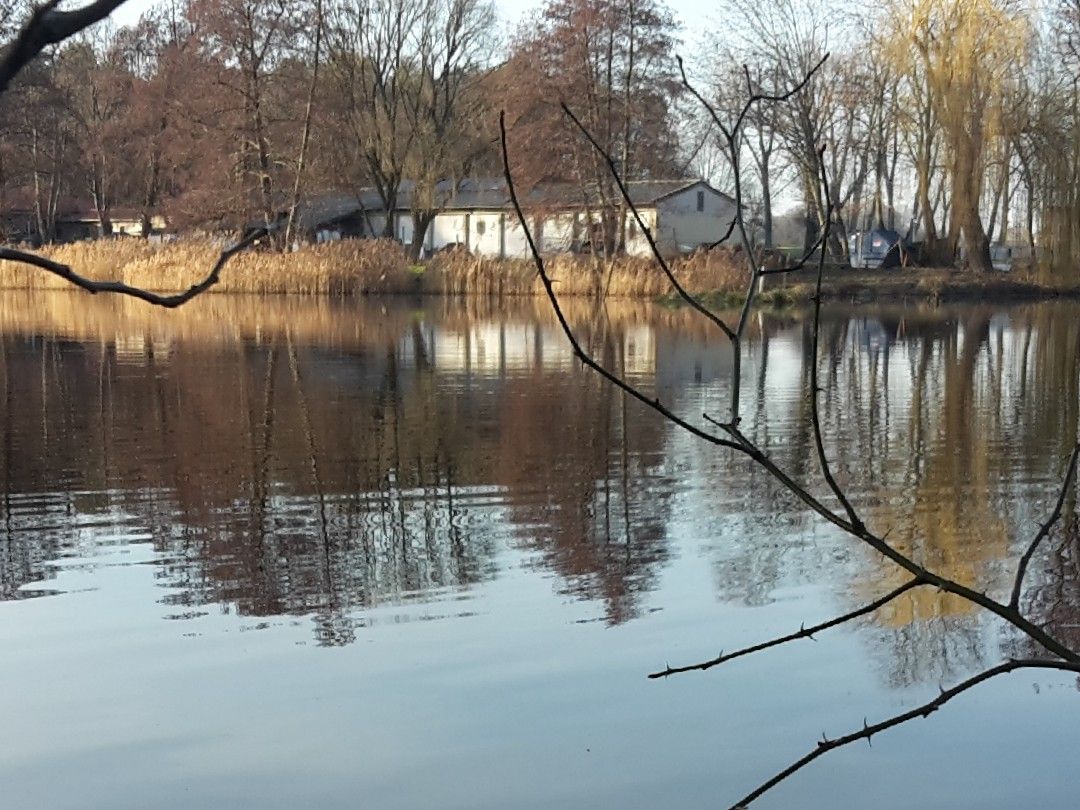 Steigmühlenteich (Schlieben) angeln