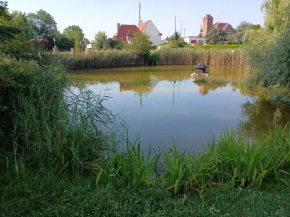 Dorfteich Thalheim