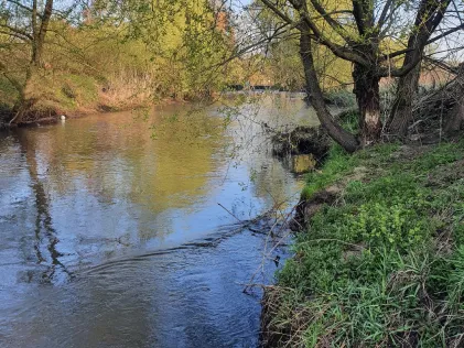 Böhme (Walsrode)