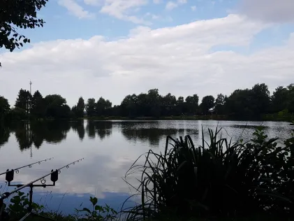 Grönegausee