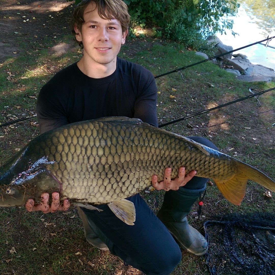 Steinbrücker Teich (Darmstadt) angeln