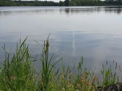 Oberteich (Kolkwitz)