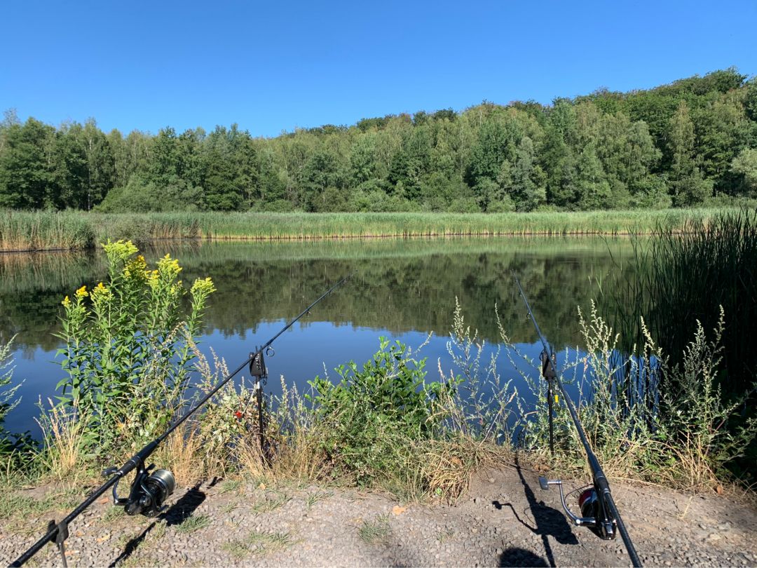 Fischbachtalweiher angeln