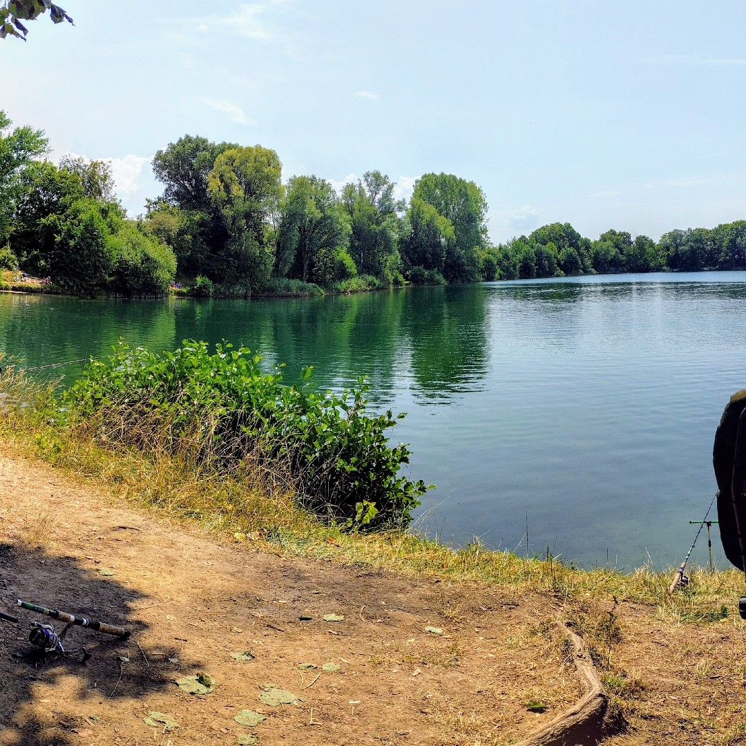 Niederwaldsee (Groß-Gerau) angeln