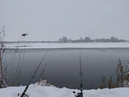 Silbersee (Wittislingen)