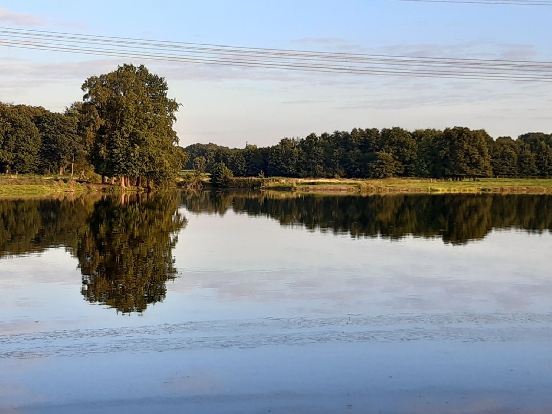 Alsensee (Moorreger Freibad) angeln