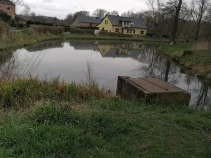 Dorfteich Golzow