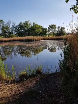 Hackpüffeler See