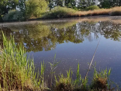 Hackpüffeler See