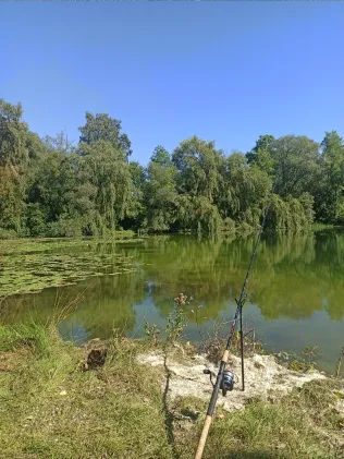 Birkensee (Dingolfing)