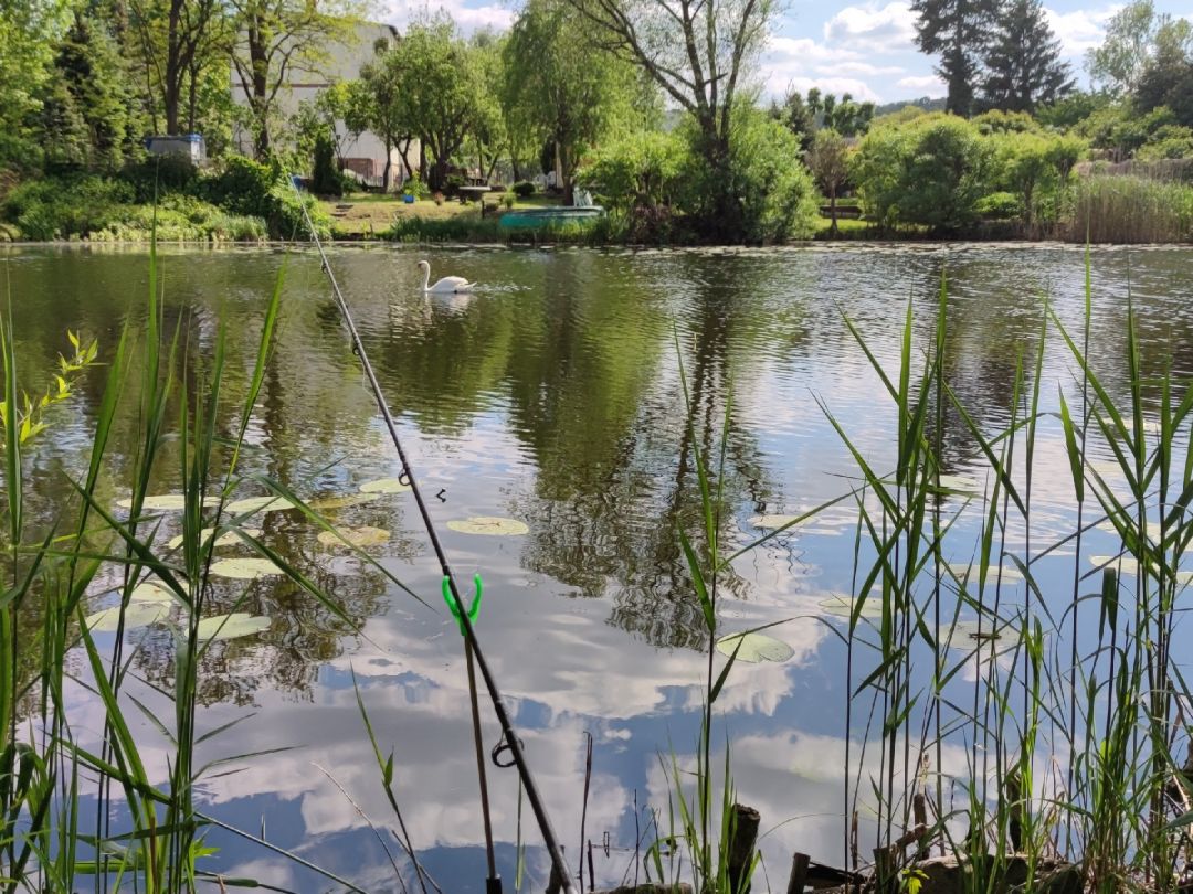 Jungfernloch (Bad Freienwalde) angeln