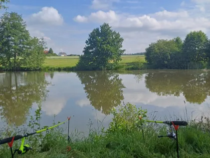 Beckenweiher (Reuth)