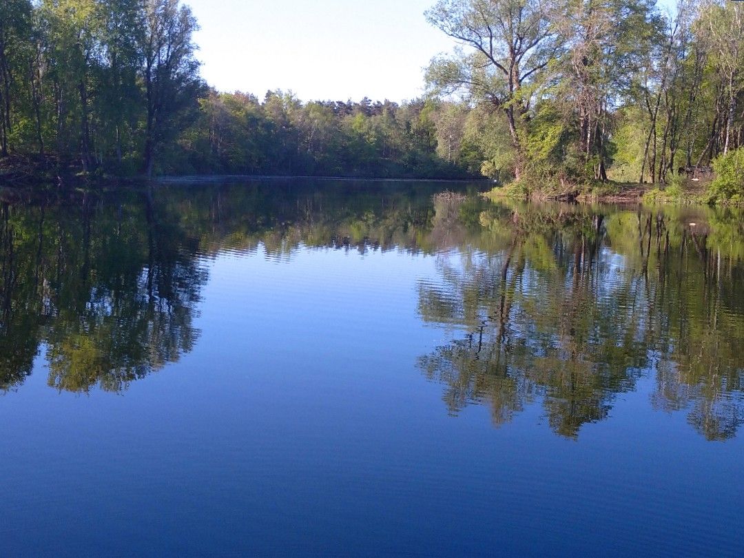 Bentheimer See (Haddorf) angeln