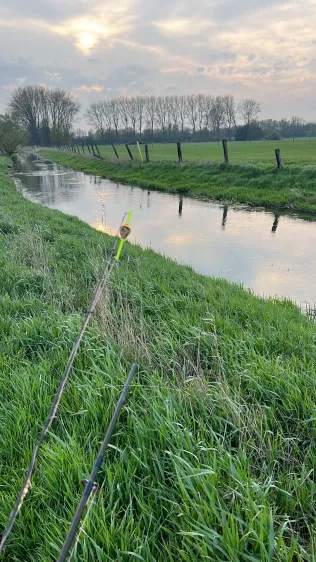 Schunter (Hattorf)