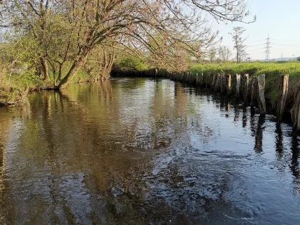 Mühlenteich (Düren)