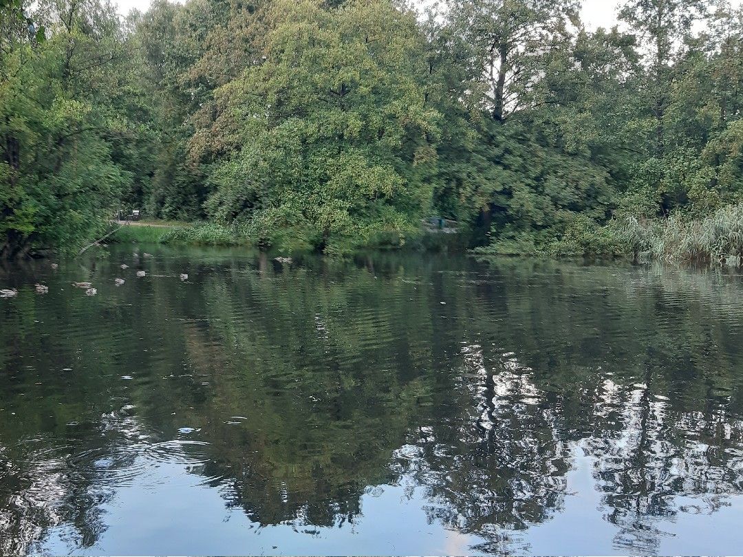 Rückhaltebecken Heidbergpark angeln