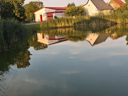 Dorfteiche Freudenberg