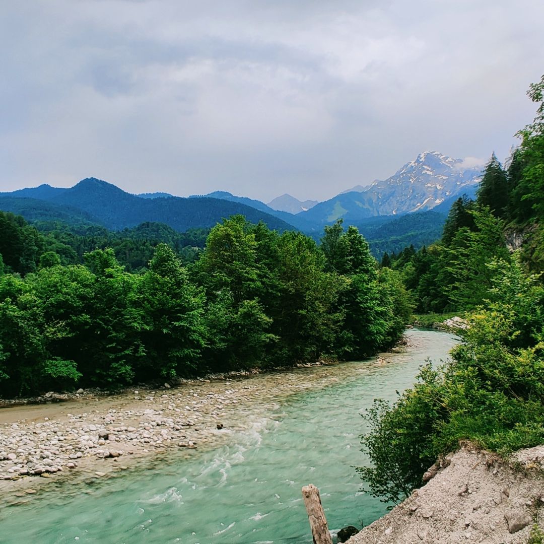 Ramsauer Ache (Ramsau) angeln