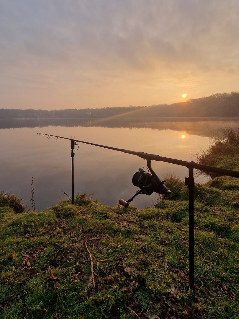 Hollener See (Saterland) angeln