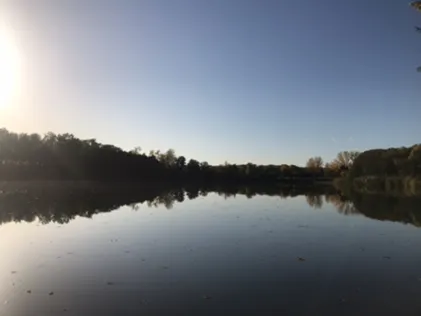 Anglersee Gernsheim