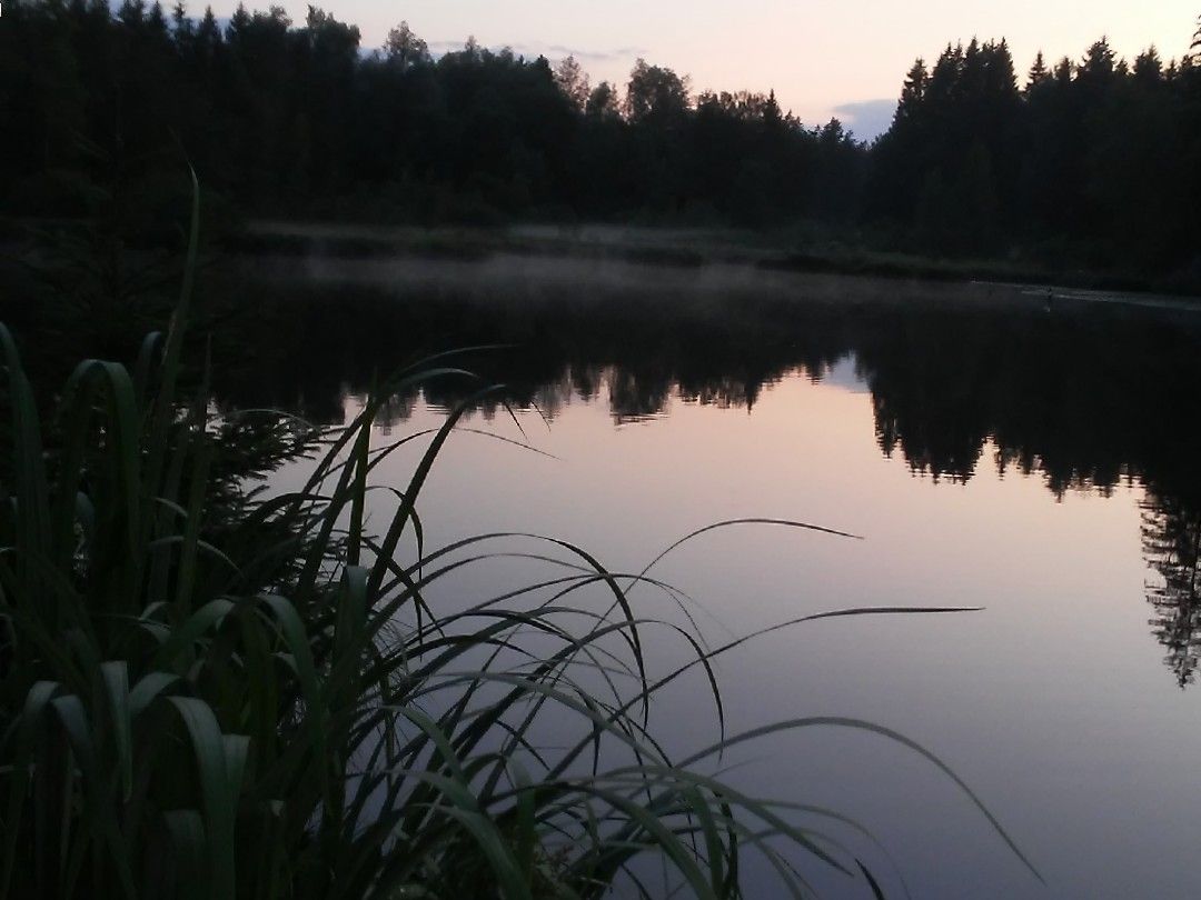 Waldsee Lindenberg angeln