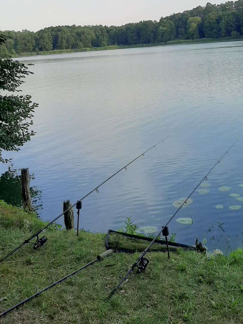 Angeln in Buckow (Märkische Schweiz)