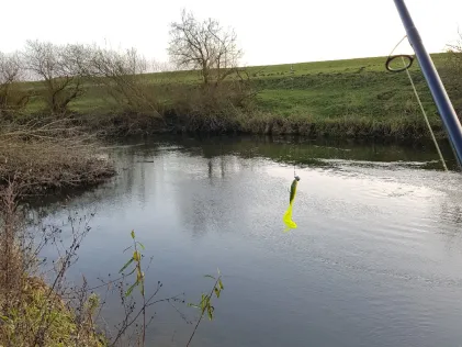 Lippe (Olfen)