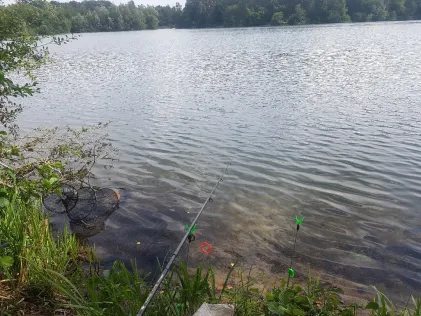 Fehlesee (Harsewinkel)