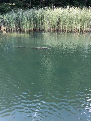 Tiefwarensee