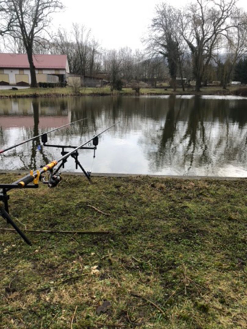 Teich Oechsen ALLE ANGELN