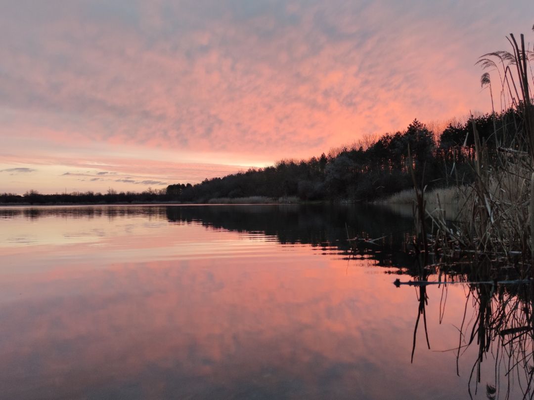 Betonwerkteich II (Gröbzig) angeln