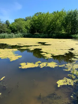 Schöpfteich Oschersleben