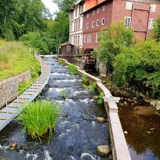 Schwentine (Bad Malente-Gremsmühlen)