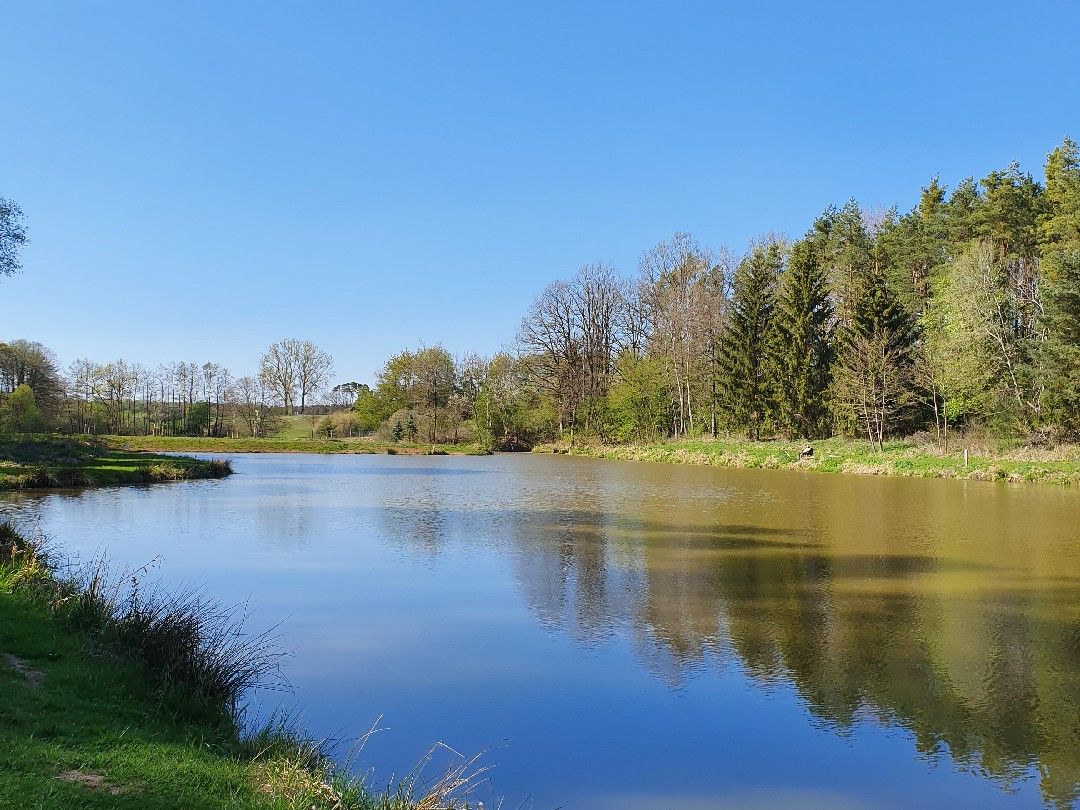 Eulensee (Allersberg) angeln