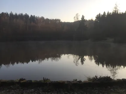 Riedsee (Bochingen)