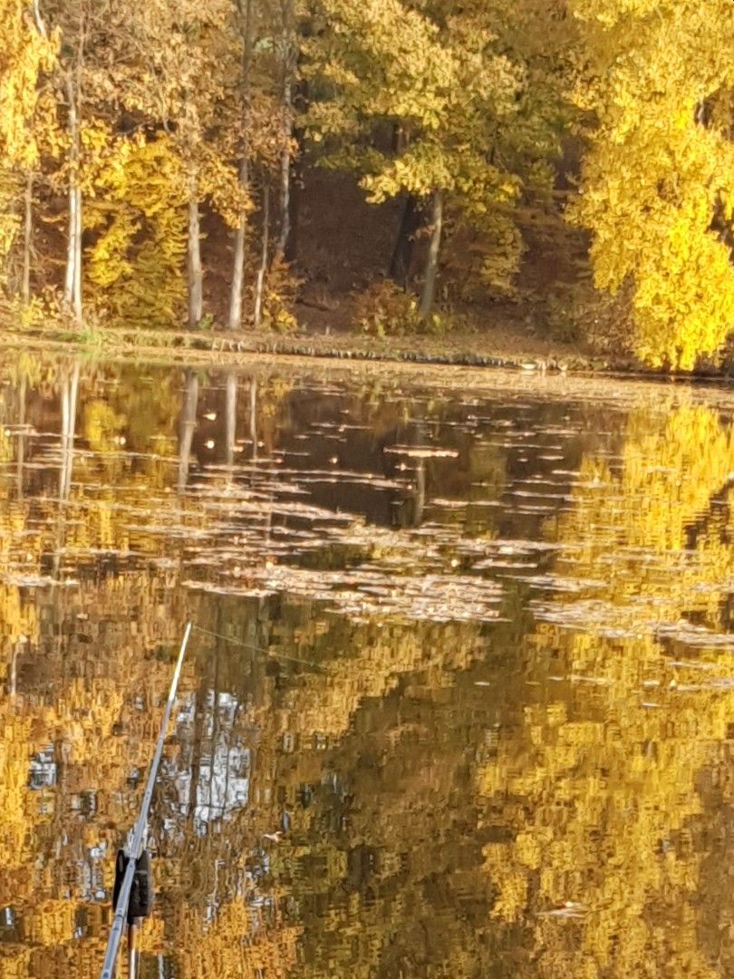 Stausee St. Egidien angeln