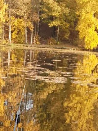 Stausee St. Egidien