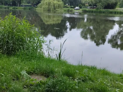 Grouvener Weiher