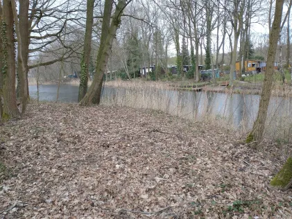 3 Waldteiche Dobien