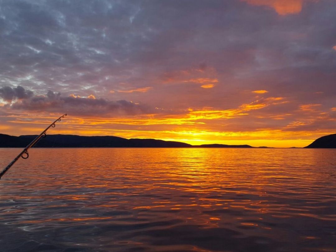 Trondheimsfjorden angeln