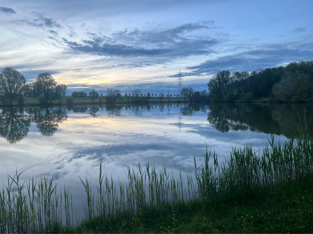 Hollenbacher See angeln