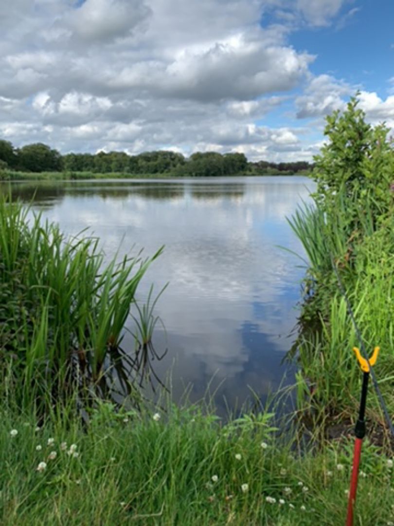 Winschoeterdiep (Groningen) angeln