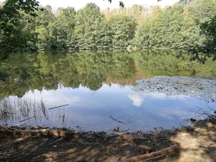 Seeloch (Hochstedt)