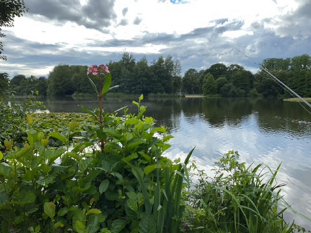 Swarte-Moor-See angeln
