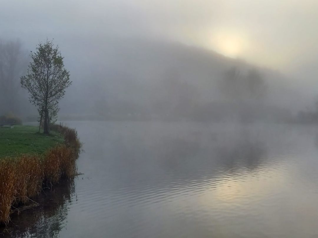 Lauchertsee angeln
