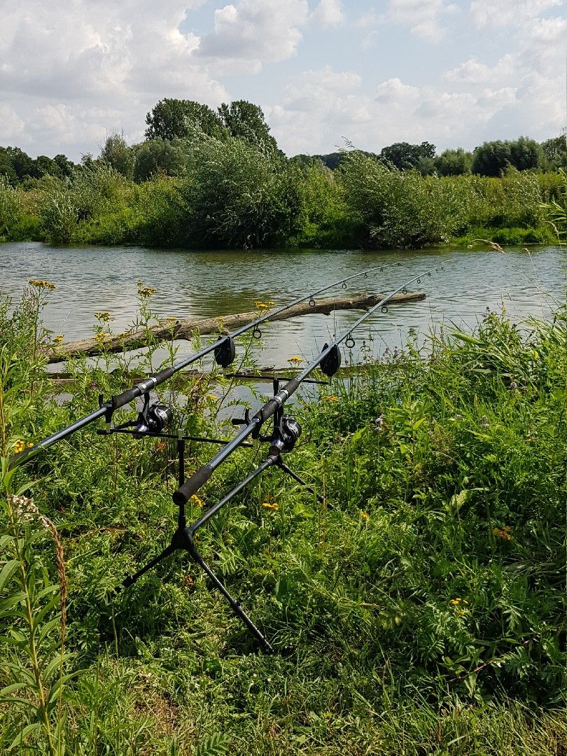Lippe (Benninghausen) angeln