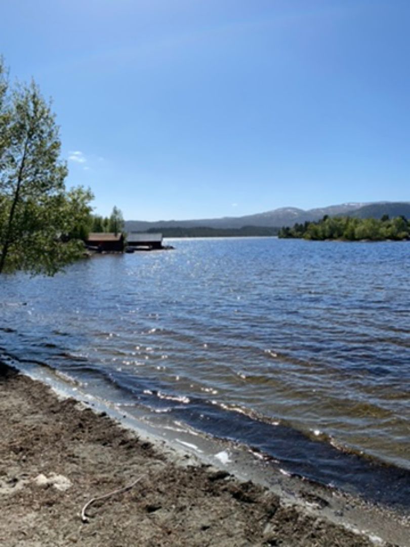 Øyangsvatnet angeln