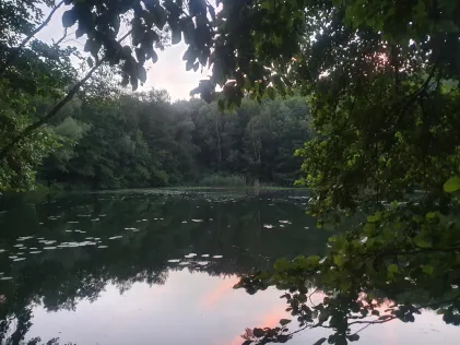 Mittelsee (Erftstadt)