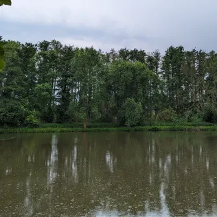 Dorfteich Bornitz