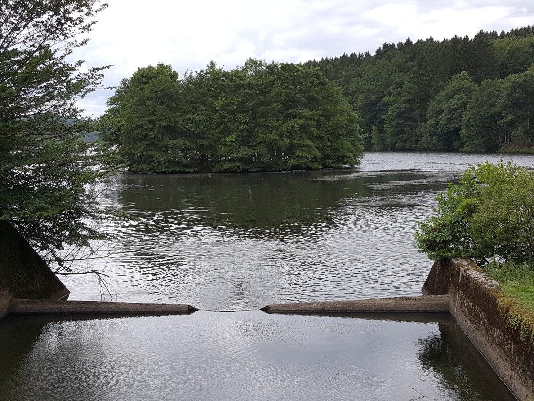 Wiehltalsperre angeln